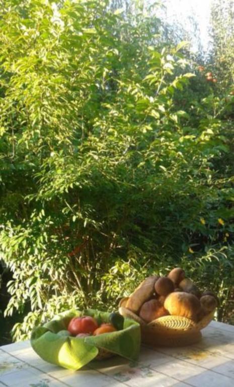 Pensiunea Letitia Sucevita Luaran gambar