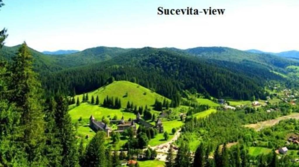 Pensiunea Letitia Sucevita Luaran gambar